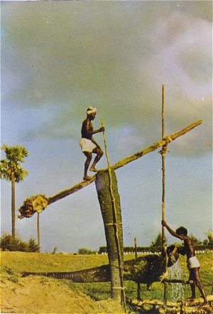 Indigenous Irrigation System