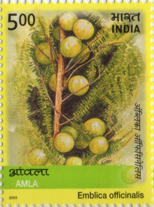 Medicinal Plants of India