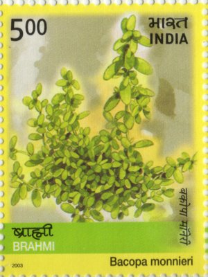 Medicianal Plants of India