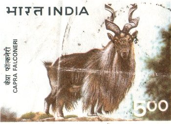 Indian Postage Stamps 