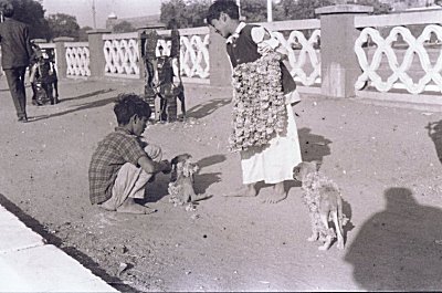 On the Streets of India  