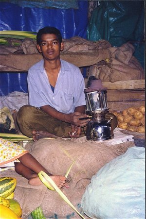 Working Children of India 