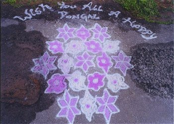 Sankranti/Pongal Festival Celebration 