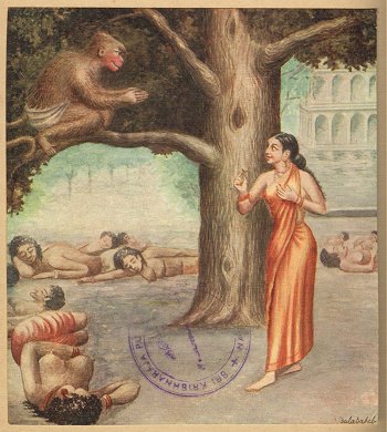 Hanuman Meets Sita 