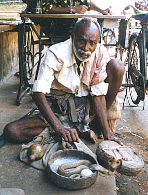 Snake Charmer in front of Kamat Shop