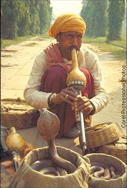 Street-side Snake Charmer