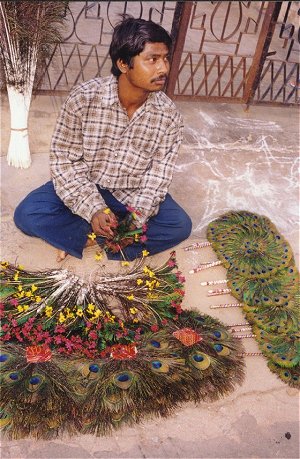 Art Made with Peacock Feathers