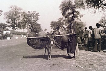 Transporting of Pots