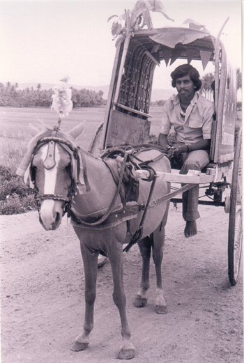 Picture of a Tonga and Driver