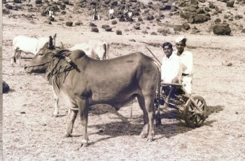 Carts of India  