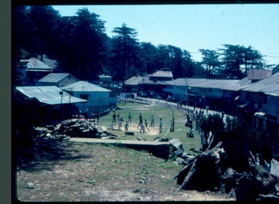 Village Cricket