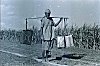 Man Transporting Water